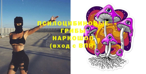 дживик Алексин